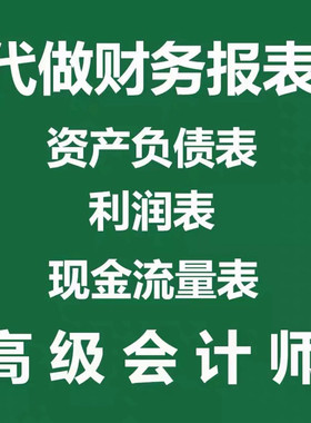代做财务报表附注资产负债表利润表银行贷款招投标用等其他用途