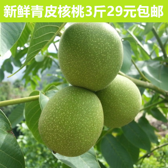 2026新鲜绿皮湿核桃带青皮老树黑桃孕妇老人儿童食品3斤现货包邮