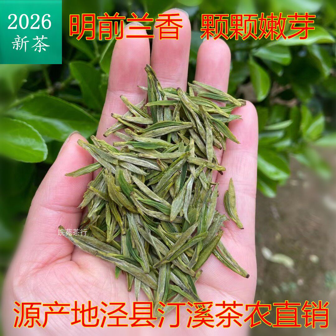 2026新茶绿茶汀溪大南坑村农家泾县兰香汀溪兰香100g明前头采
