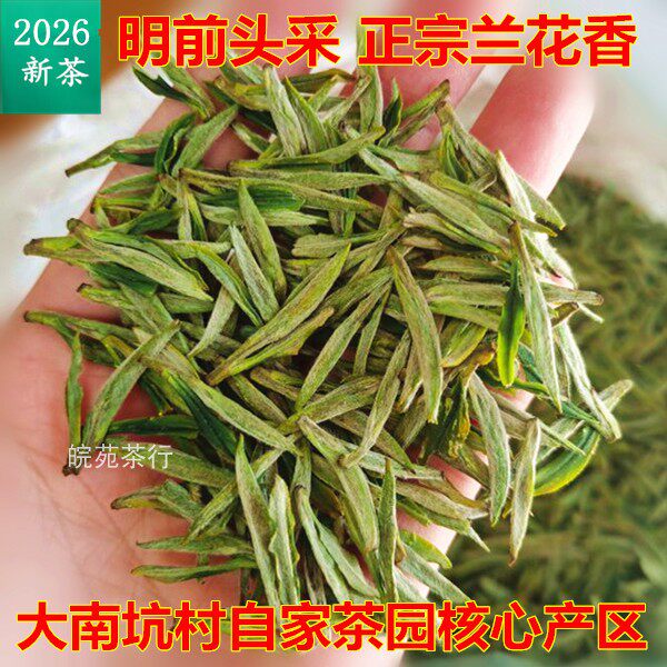 汀溪大南坑村兰香茶2026新茶头采