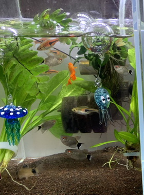 玻璃造景手工艺品水母小鱼浮球