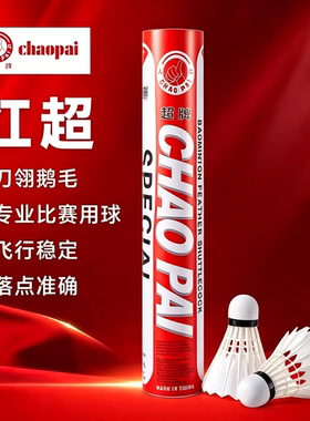 红超耐打王训练比赛羽毛球