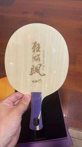 字母特制正品省队版本乒乓球宏图