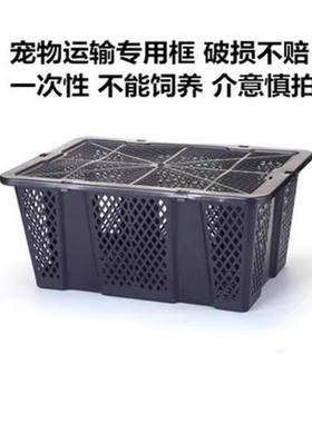 运输小框,破损不包  不可以饲养兔子 只做运输保护用