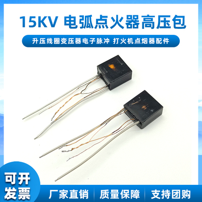15KV电弧点火器高压包打火机