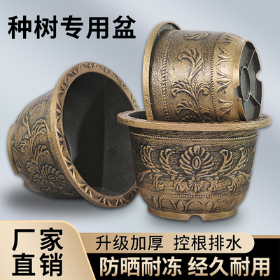 荷花耐晒铜钱草养睡莲特大号塑料