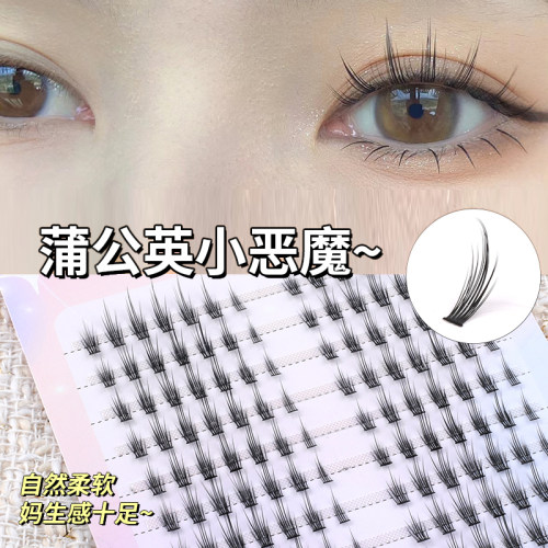 精致妞蒲公英假睫毛分段式小恶魔