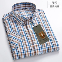 F979 Короткая модель