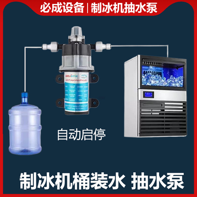制冰机上水泵水桶装水改装通用自吸泵增压自动启停静音抽水小流量