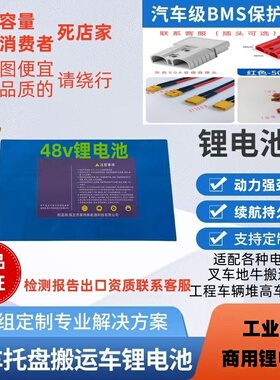 48V通用型锂电池8ah10ah12ah15ah多规格可选可配套多种设备多场景