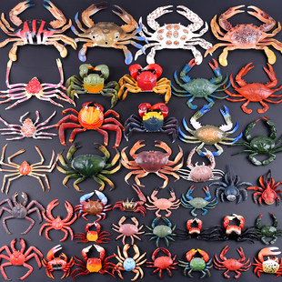 仿真螃蟹模型梭子蟹海洋生物爬行动物装饰道具大闸蟹摆件儿童玩具