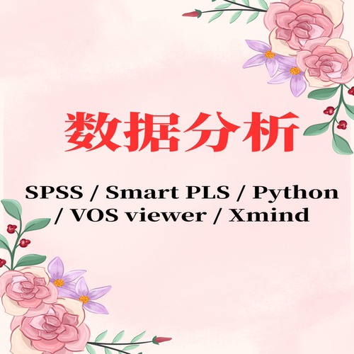 SPSS / Smart PLS / Python / VOS viewer / Xmind等数据分析服务