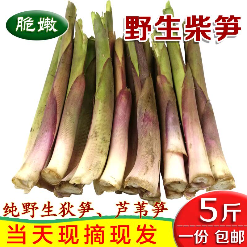 野生新鲜柴笋子湖北洪湖特产荆州石首监利狄笋芦苇笋华容5斤
