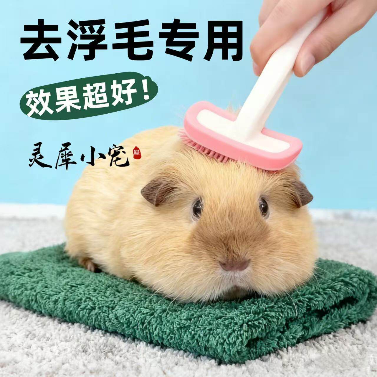 荷兰猪小宠梳子硅胶软梳去浮毛豚鼠兔兔按摩防咬清理梳毛宠物用品,宠物/宠物食品及用品,玩具/造景装饰,淘宝优惠券,粉丝福利购,淘宝优惠卷