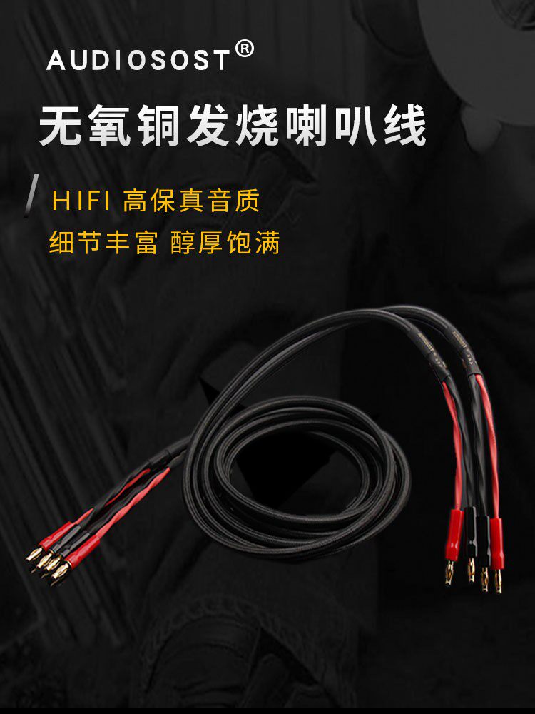 声弦发烧喇叭线纯铜带镀银神经线主音箱环绕音响线连接专用线