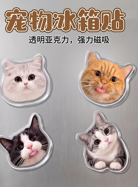 diy宠物猫咪狗狗亚克力定制高档