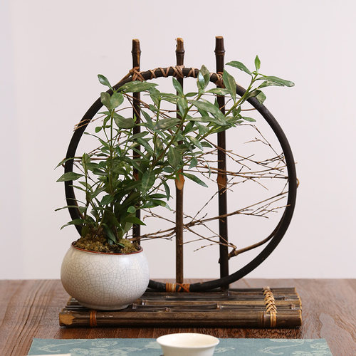 茶艺圆月禅意复古桌面插花竹木