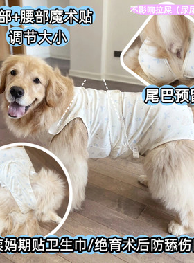 大狗月经姨妈裤生理裤绝育术后服