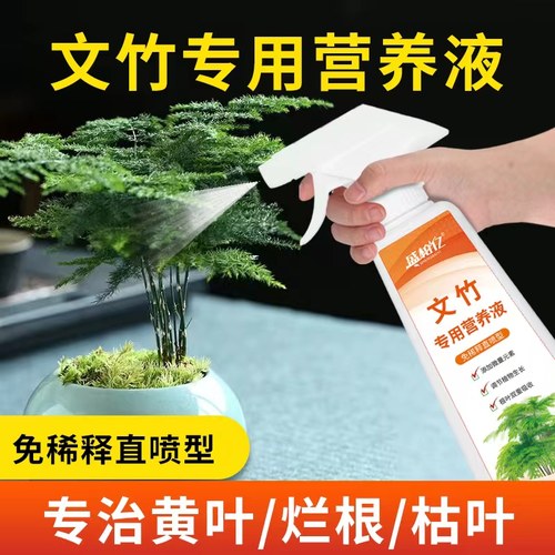 文竹专用营养液免稀释肥料