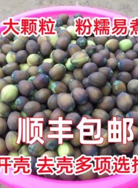 2026新鲜老莲子现摘粉糯易煮顺丰