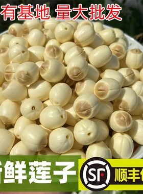 新鲜莲子手工去皮去芯江西广昌白莲鲜莲现摘粉糯炖汤煮粥顺丰包邮