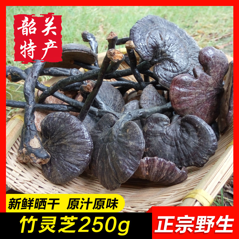 【野生竹灵芝250g】韶关特产整枝纯正宗深山天然带柄小黑林芝切片