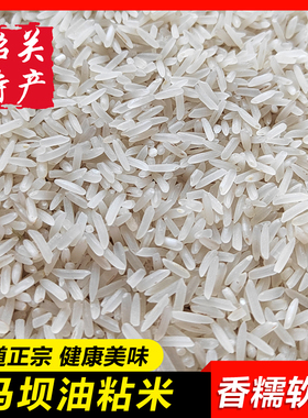【马坝油粘米】正宗韶关特产农家香米不抛光想软新米5kg10斤袋装