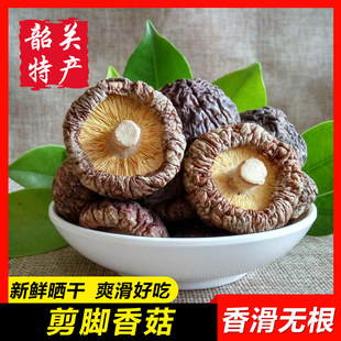【无根香菇】粤北干货椴木野生蘑菇正宗韶关特产野生花菇剪脚冬菇