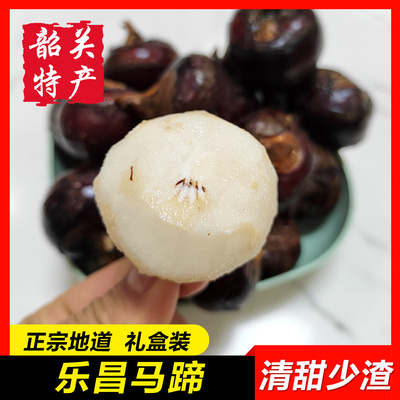 乐昌马蹄韶关特产脆栗梨荸荠饽荠