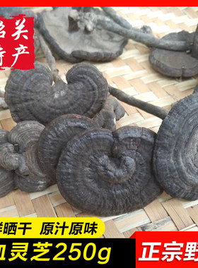 深山林芝野生血灵芝天然玄芝整支
