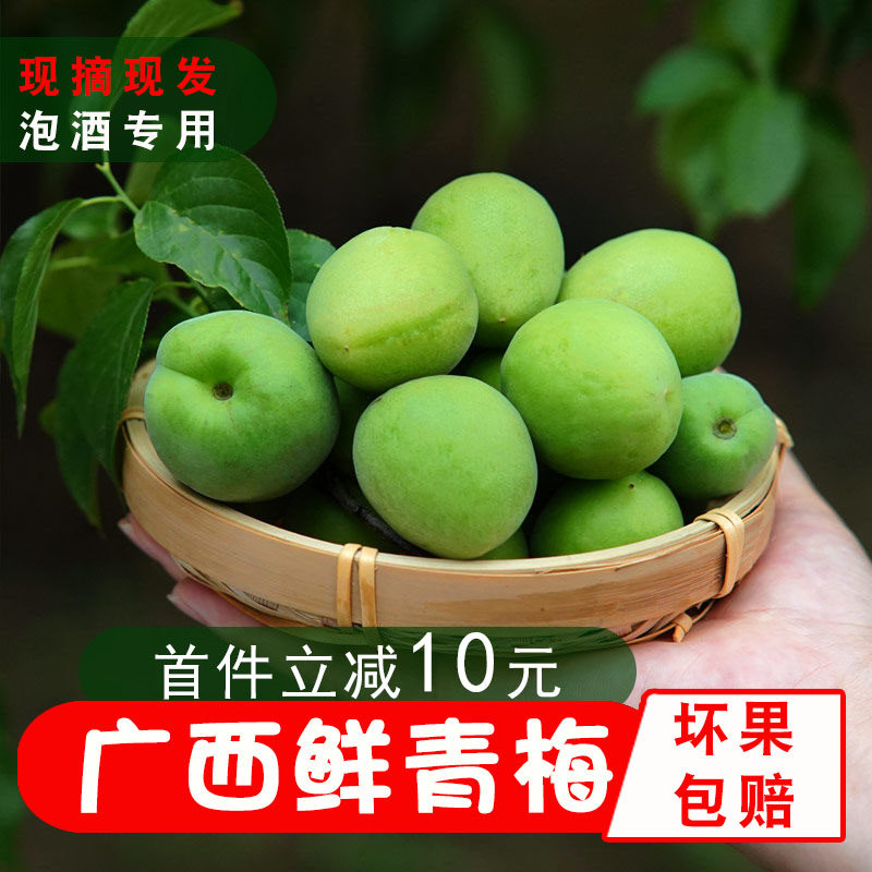 广西现摘新鲜青梅果5斤深山野生泡酒酸梅子酵素梅农家孕妇水果