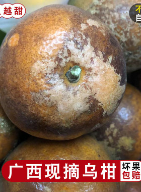广西一级纯甜乌柑当季新鲜花皮沃柑非洲黑皮丑桔子蜜橘10斤包邮5