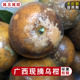 包邮 广西一级纯甜乌柑当季 新鲜花皮沃柑非洲黑皮丑桔子蜜橘10斤