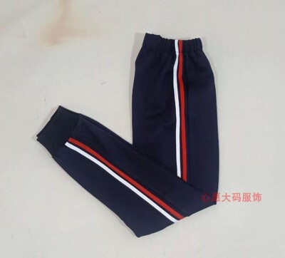 春秋款小学 初高中学男女学生校服套装长袖短袖加绒长裤校服定制