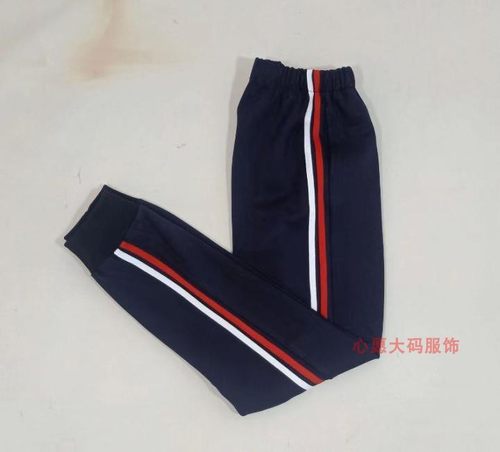 春秋款小学 初高中学男女学生校服套装长袖短袖加绒长裤校服定制
