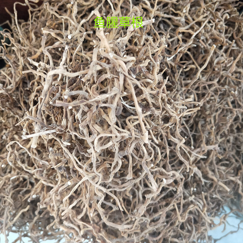 干货鱼腥草根折耳根道地纯正药材