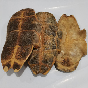 制龟板中药材制龟板炙龟板醋制龟板整个制龟板500克包邮可帮打粉