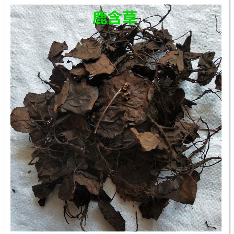 中药材鹿衔草鹿含草 鹿蹄草鹿含草 鹿寿草 冬绿 500克25元