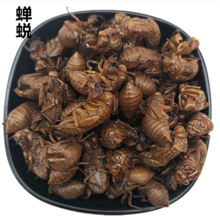 蝉蜕 金蝉衣 知了皮 (水洗) 100克 88元正品蝉蜕 蝉壳