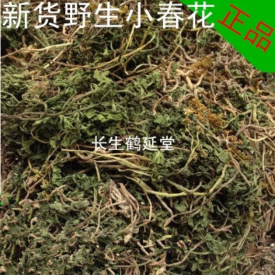 小春花一朵云中药材