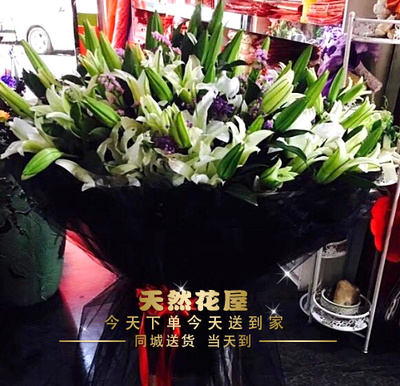 全部商品 女装 男装 鞋包 内衣 母婴 家居用品 文体车品 数码 食品 美妆 女装 男装 鞋包 内衣 母婴 家居用品 文体车品 数码 食品 美妆 综合 月销量 大额券 券后价 重庆黔江特产蓬江地牯牛泡菜蚕妞妞宝塔玉珠宝塔菜泡椒开味下饭菜 现价 16 8 月销1802件 券后 16 8