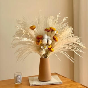 天然风干植物花束兔尾草芦苇干花陶瓷花瓶摆件高级感客厅家居饰品
