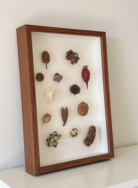 中空标本相框立体昆虫植物DIY干花手工diy贝壳蝴蝶摆台画框摆件