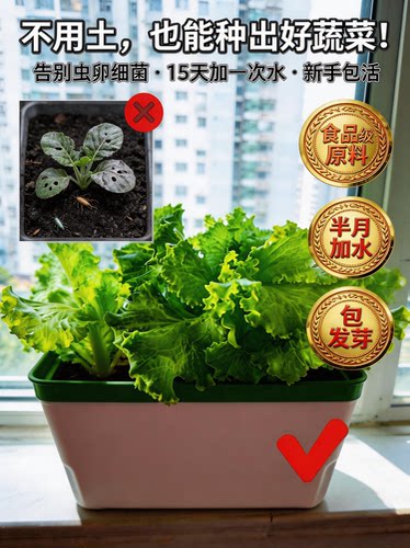 空中花园水培蔬菜种植套装阳台种菜无土栽培自吸水盆食品级营养液