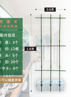 空中花园无土栽培藤架番茄黄瓜
