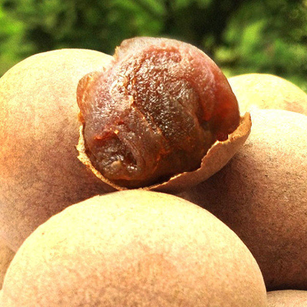 泸州5a老树桂圆干个大多肉厚实超甜龙眼干食品500克/袋 2件包邮