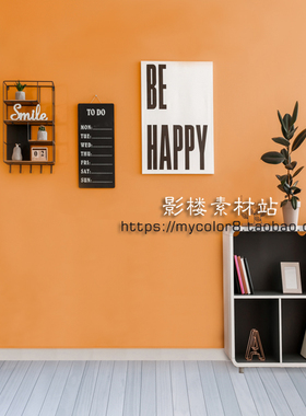 mycolor8 影楼摄影背景主播直播室内背景ins北欧素材大图20-411