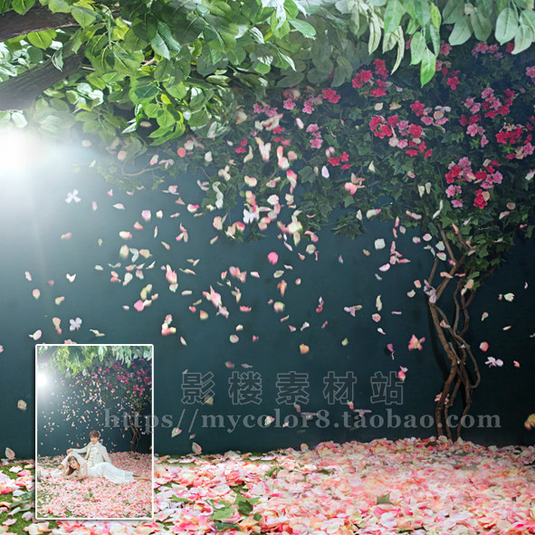 mycolor8 婚纱 影楼摄影背景 韩式背景 高清 素材大图片18-353