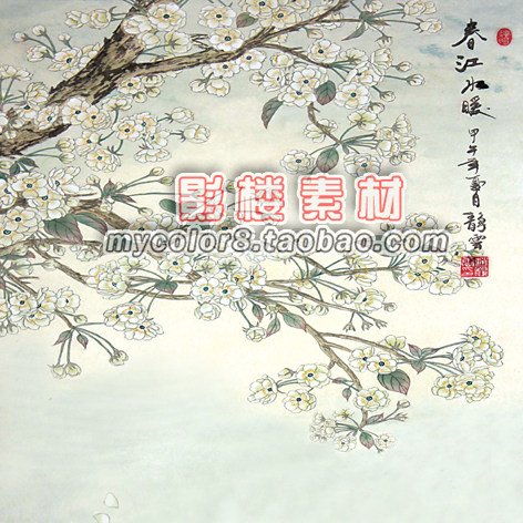 mycolor8 婚纱 影楼摄影背景  盘子女人 古装背景 素材大图16-314