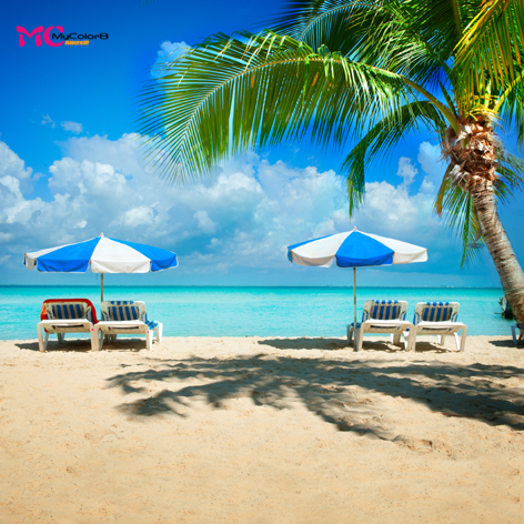 mycolor8 PS婚纱 影楼摄影背景 海景 喷绘高清大图14-382